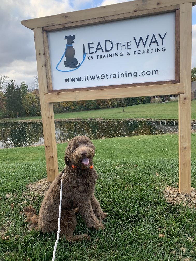Lead the Way Training Sign