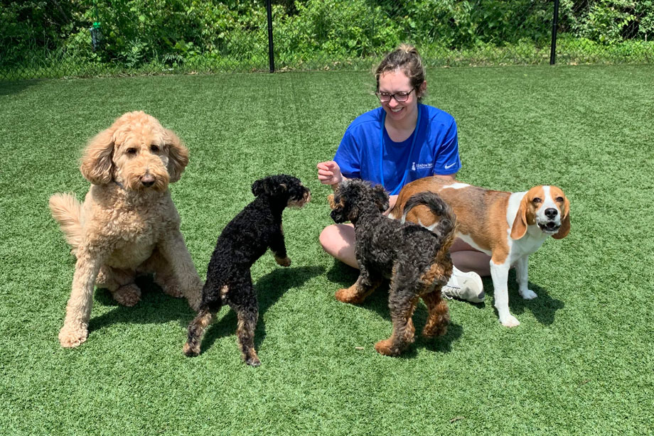 Kennel Technician, Hailey